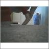 11406 bytes