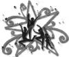 14736 bytes