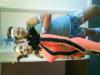 36864 bytes