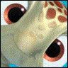 Click to view member profile
