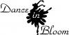 28856 bytes