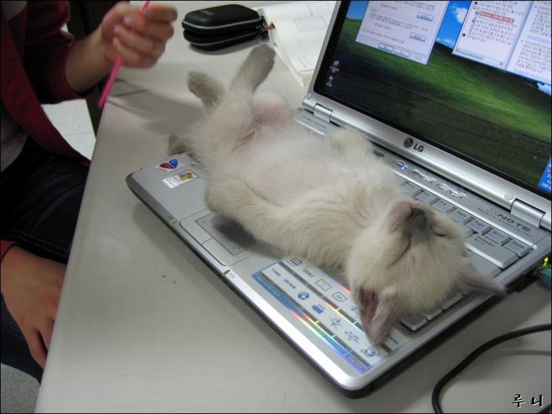 file is 56226 bytes
