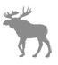 Click to view member profile