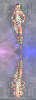 92186 bytes