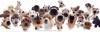 36864 bytes