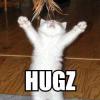 678475.047hugs_cat_lolcat_hugz_small.jpg