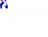 36864 bytes