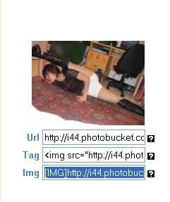 file is 12962 bytes