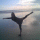Click to view member profile