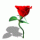 Click to view member profile