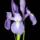 Click to view member profile