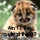 Click to view member profile