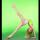 Click to view member profile