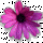 Click to view member profile