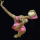 Click to view member profile