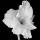 Click to view member profile