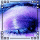 Click to view member profile