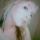 Click to view member profile