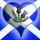Click to view member profile