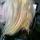 Click to view member profile