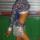 Click to view member profile