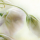 Click to view member profile