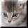 Click to view member profile