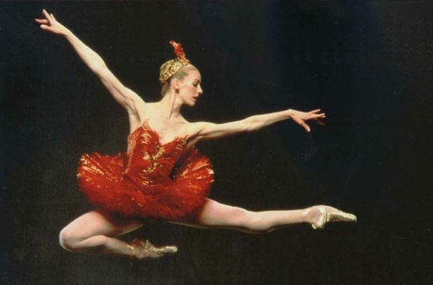 Firebird Ballet Story